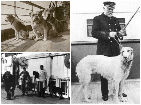 A Titanic kutyái külön kennelt kaptak a hajón, sétáik látványosságnak számítottak. Jobbra: Smith kapitány és Ben, az orosz agár