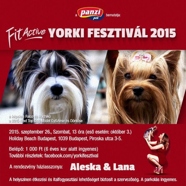 Fit Active Yorki Fesztivál 2015