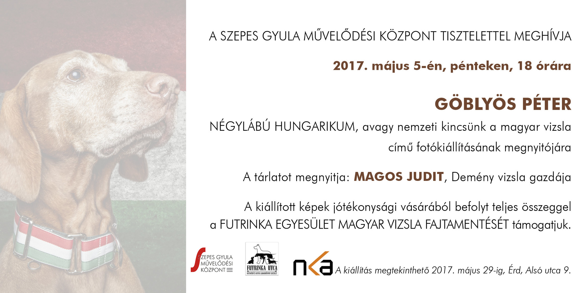 Négylábú Hungarikum - avagy nemzeti kincsünk a magyar vizsla - kiállítás