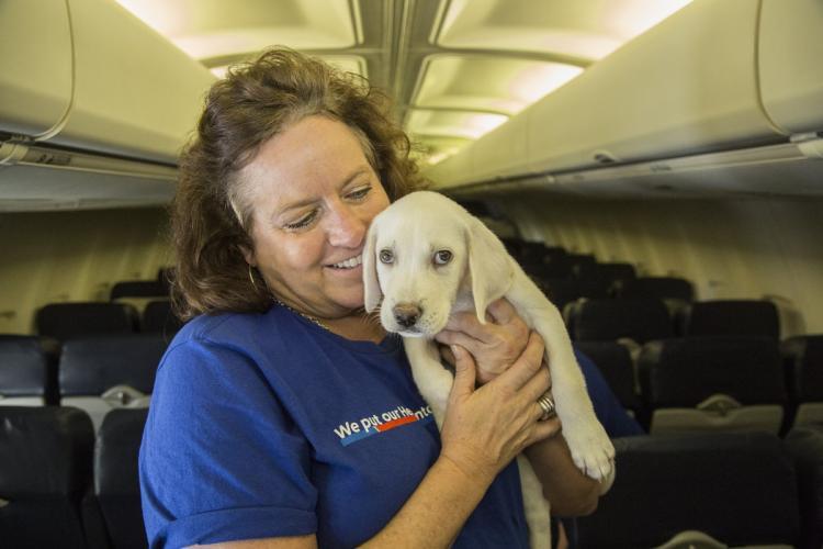 Utasszállító repülővel mentik a kutyákat és a macskákat a hurrikán sújtotta térségekből