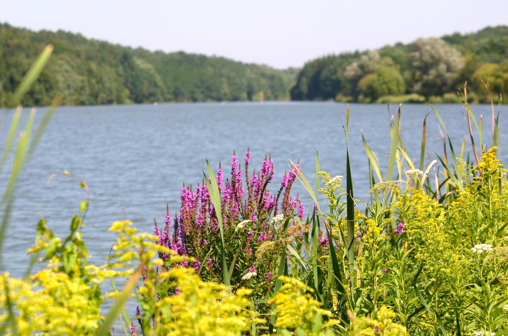 Gyönyörű környezetben fekszik a Borostyán-tó, környékén több túraútvonal és kirándulási lehetőség található