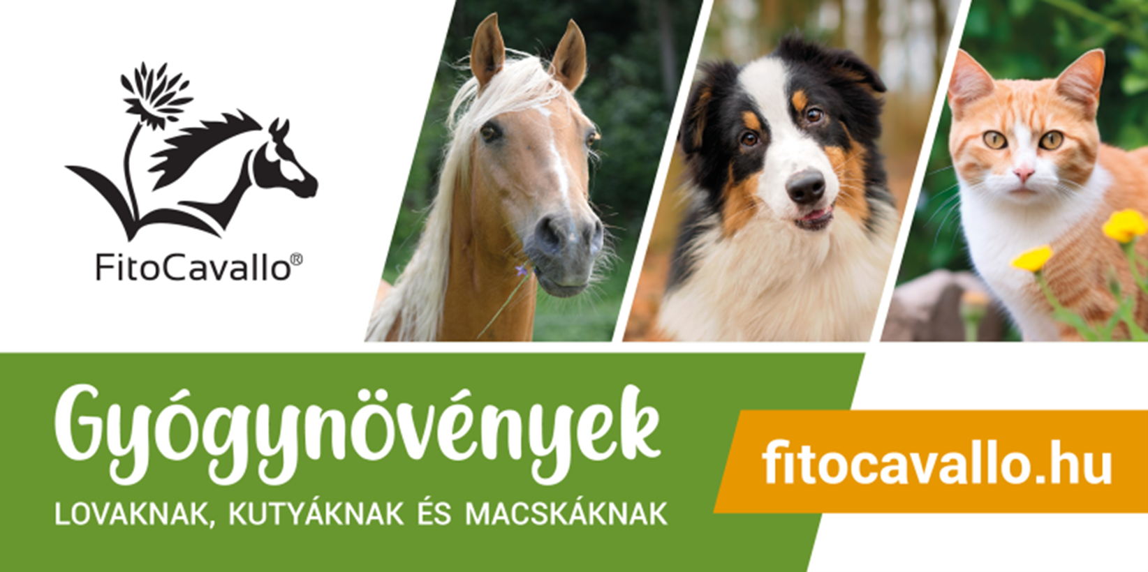 Fitocavallo - gyógynövények lovaknak, kutyáknak és macskáknak