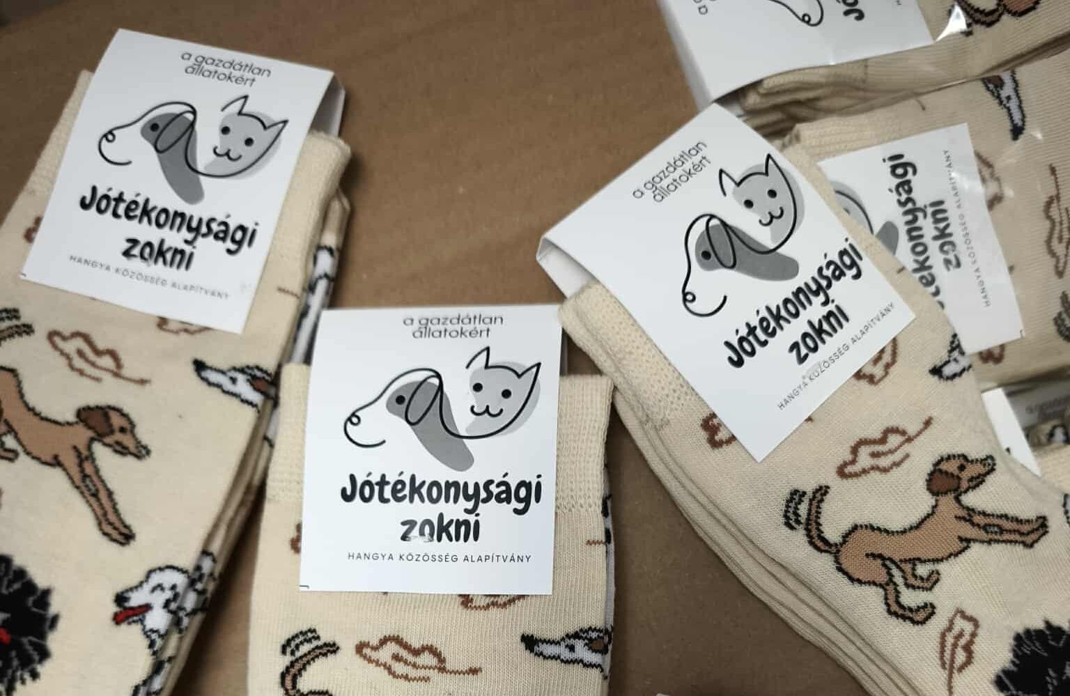 Hangya közösség jótékonysági zokni magyar kutyafajtákkal