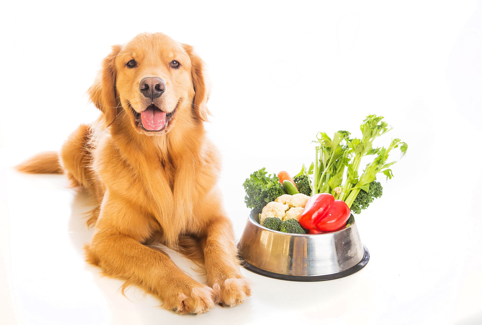 Az egészséges zöldségek és gyümölcsök is fontos részét képezhetik kutyánk étrendjének