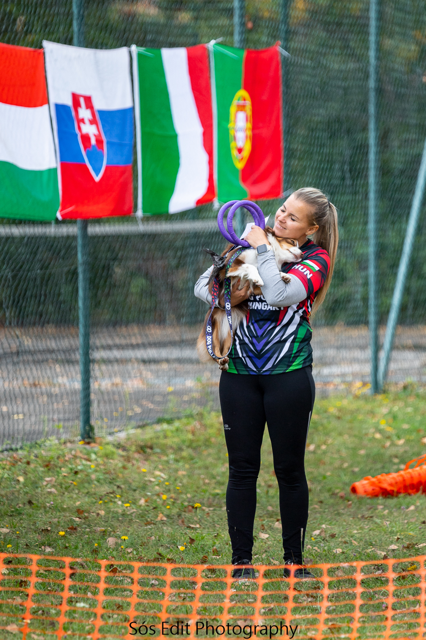 A közös munka öröme