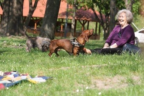 Jókedv, vidámság és sok-sok tacsizás - ez jellemzi a találkozókat