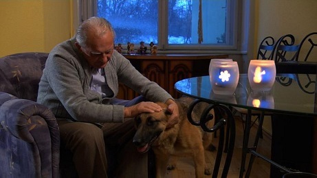 Ideiglenes örökbefogadása egy idős kutyának - hogy ne legyen senki magányos karácsonykor