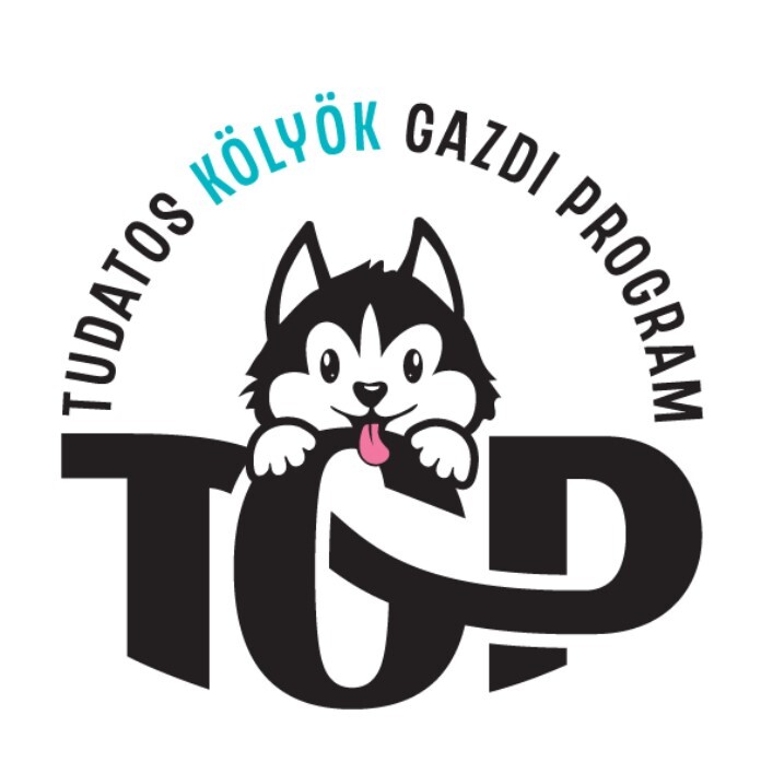 kölyök kutya program