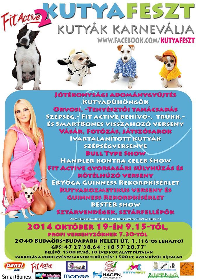 Kutyafeszt2