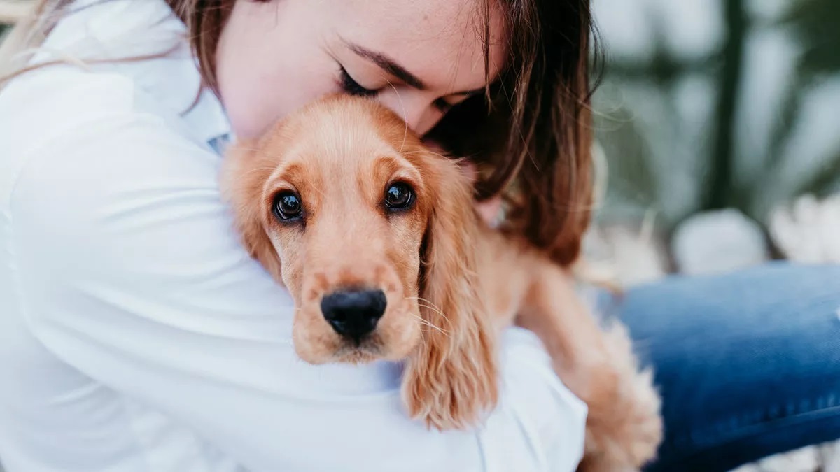 Miért szeretjük jobban kutyáinkat, mint az embereket?