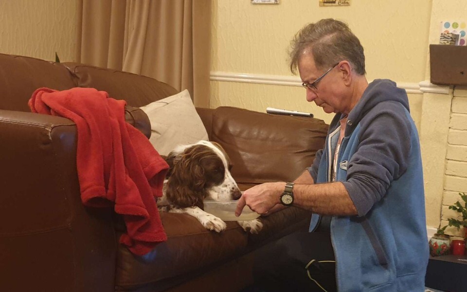 Az öregecske kutya meghálálja a szeretetteljes gondoskodást