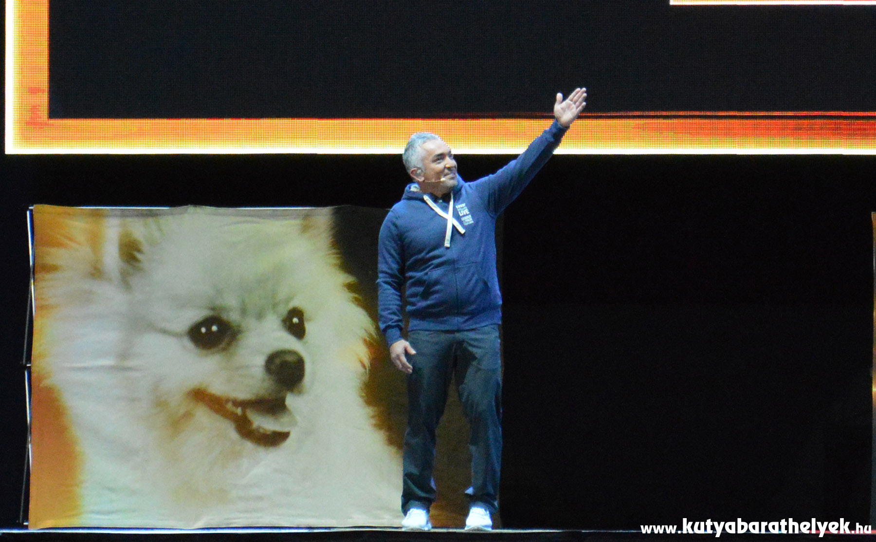 Cesar Millan Live Budapest - A csodálatos kutyadoki