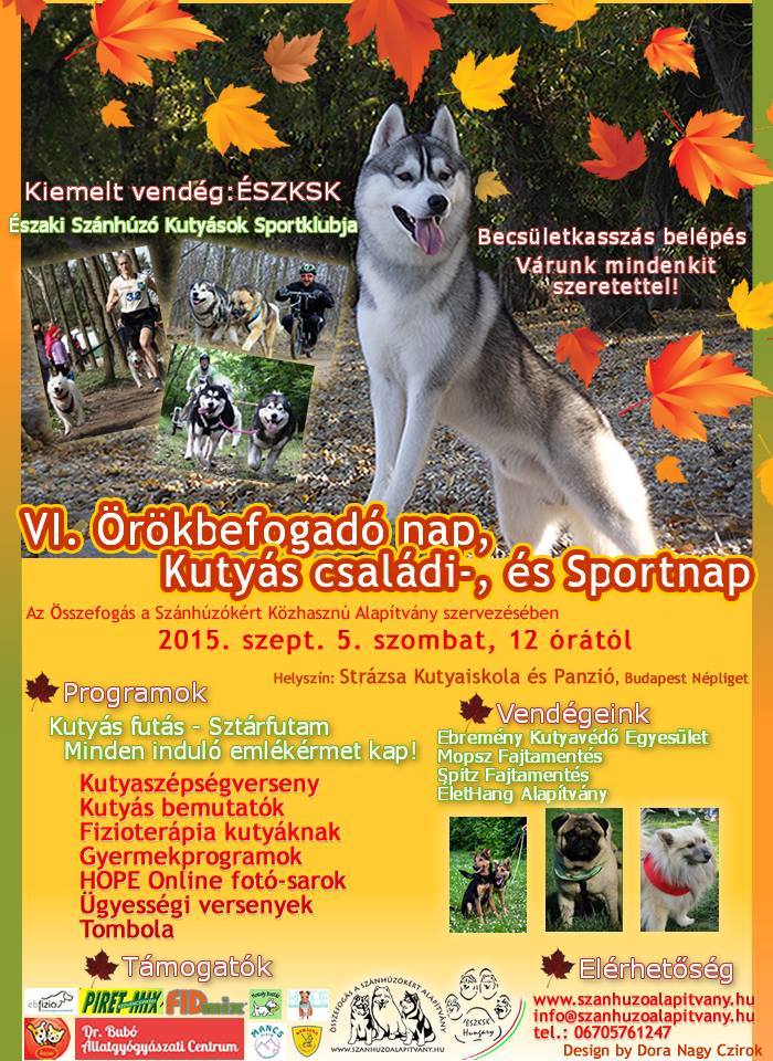 VI. Szánhúzó Örökbefogadó Nap