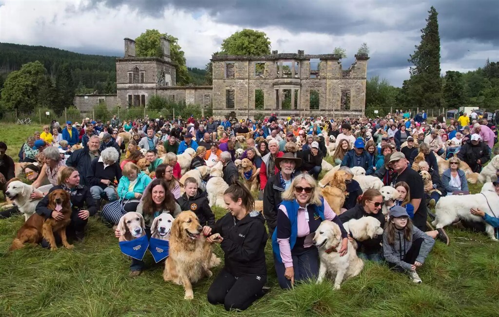 A golden retrieverek rajongói ötévente összegyűlnek Skóciában, hogy megünnepeljék a fajtát