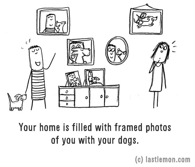 Mindenütt fotók Rólad és kutyádról