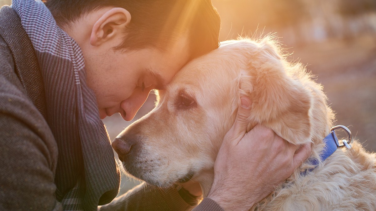 A kutya és gazdi közötti szeretet, kötődés egy életre szól