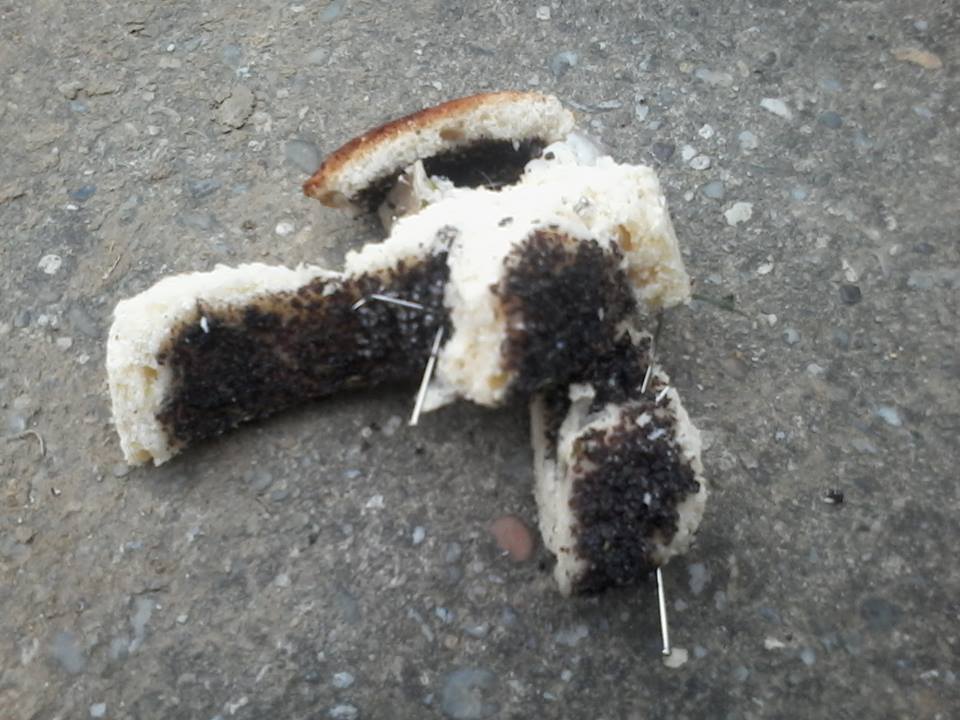 A mákos süteményt teletűzdelték gombostűkkel