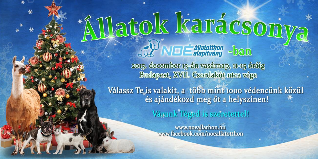 Állatok Karácsonya a NOÉ Állatotthonban 2015