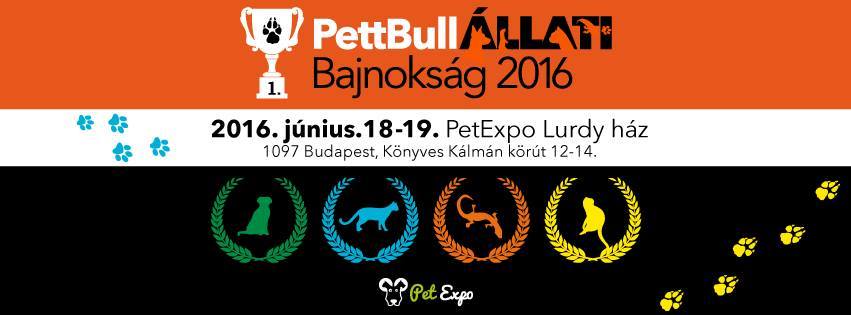 PettBull Állati Bajnokság 2016