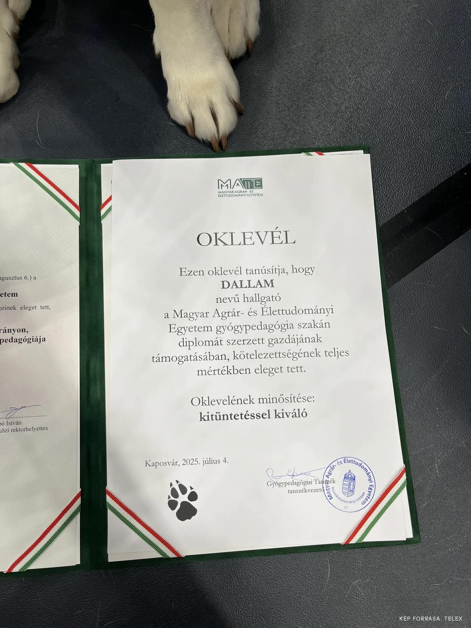 Dallam segítőkutya oklevele Dallam segítőkutya oklevele