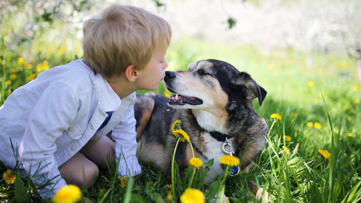 Újabb tanulmány támasztja alá, hogy a kutya nyugtató hatással bír a gyerekekre