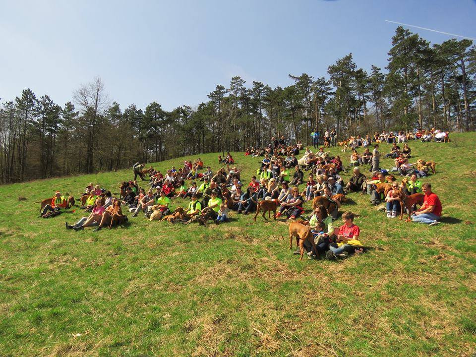 100. Vizsla Túra