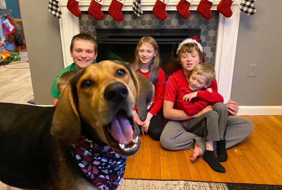 Karácsonyi képeslap kutyával - hála neki, viccesre sikerültek a fotók