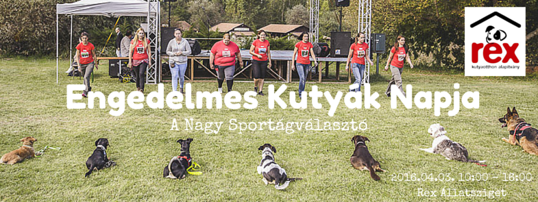 Nagy Kutyás Sportágválasztó - Engedelmes Kutyák Napja