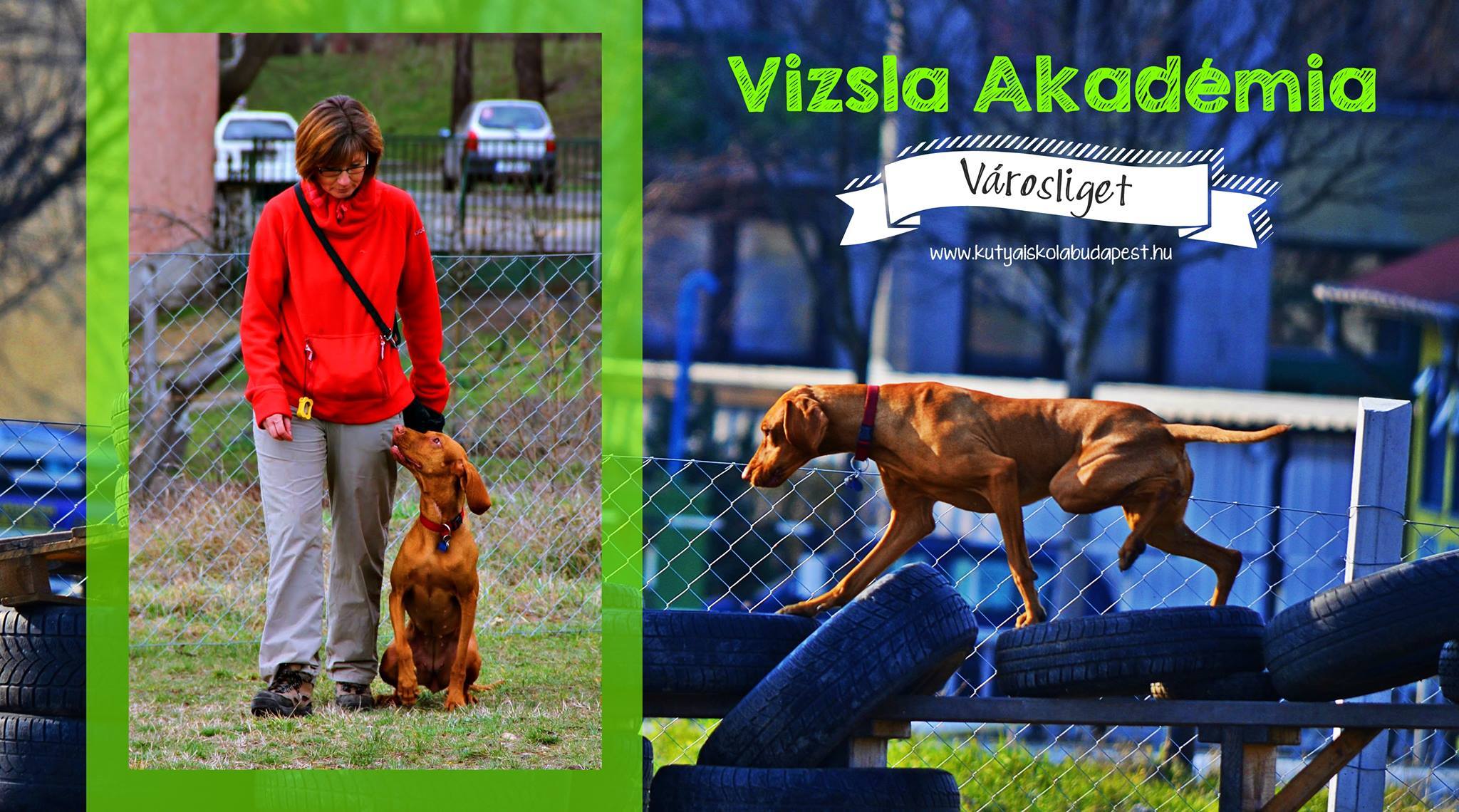 Vizsla Akadémia INGYENES nyílt nap