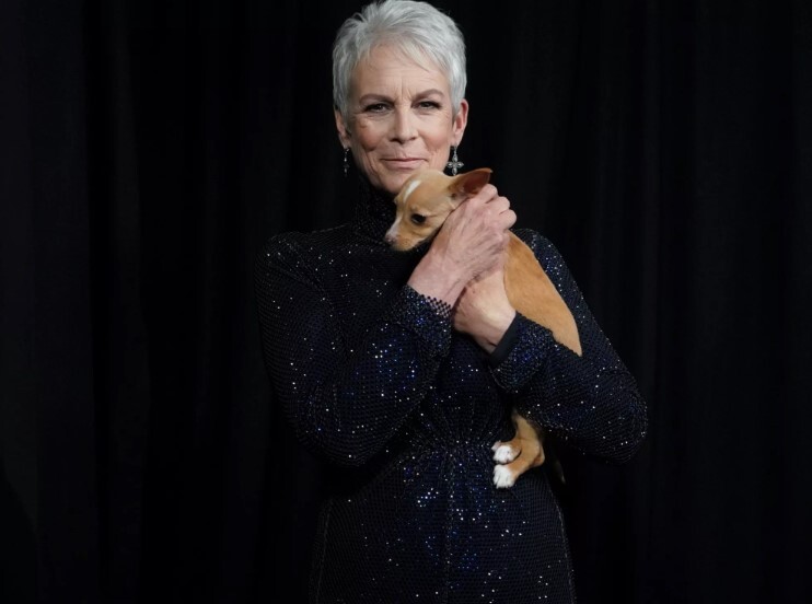 jamie lee curtis örökbefogadás