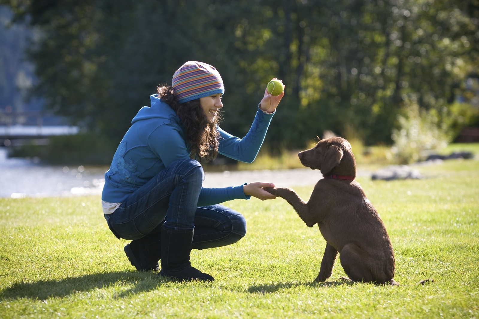 Új trükkök tanításával növelhetjük a félénk kutya önbizalmát