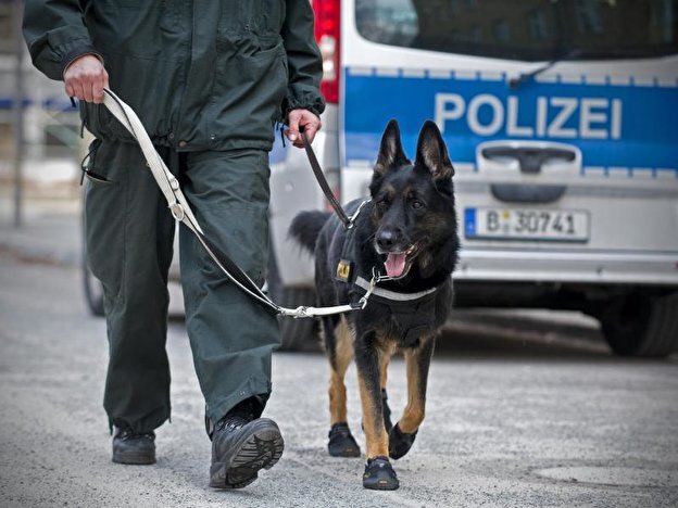 130 szolgálati kutya közül, 49-et kell ideiglenesen leszerelni a berlini rendőrség kötelékéből