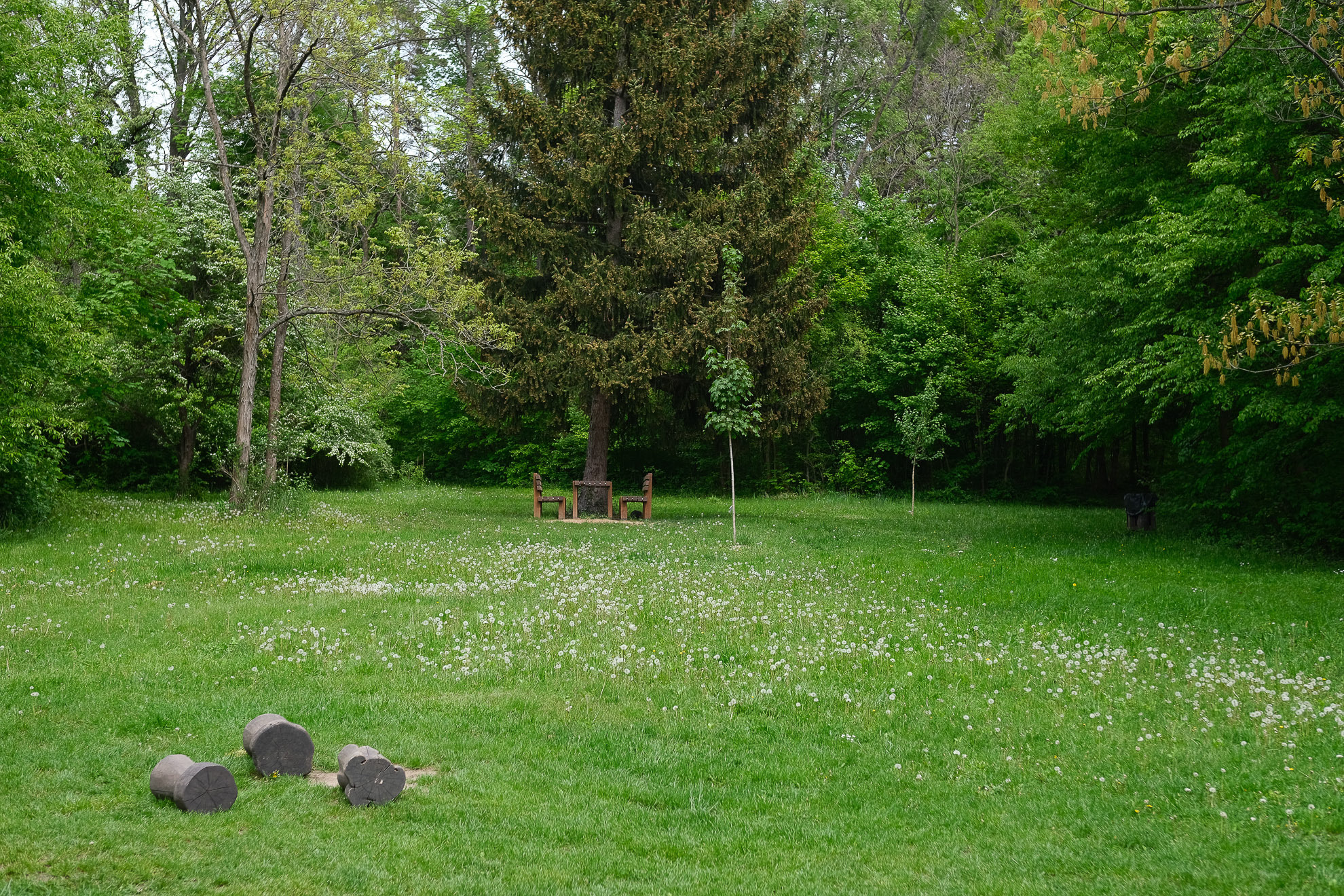 arbo park