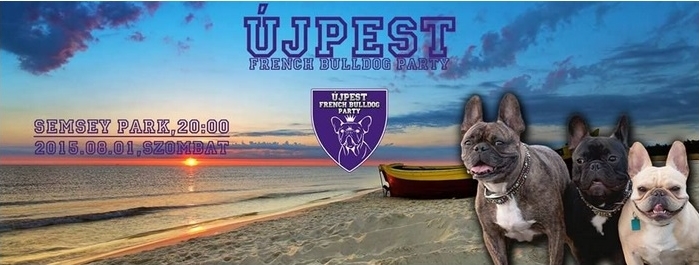 Újpest French Bulldog Party