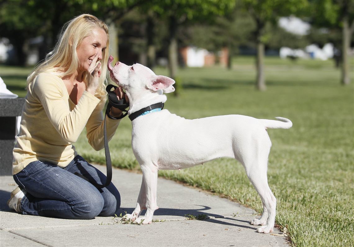 A hallásproblémás kutya is örömmel tanul a gazdival együtt