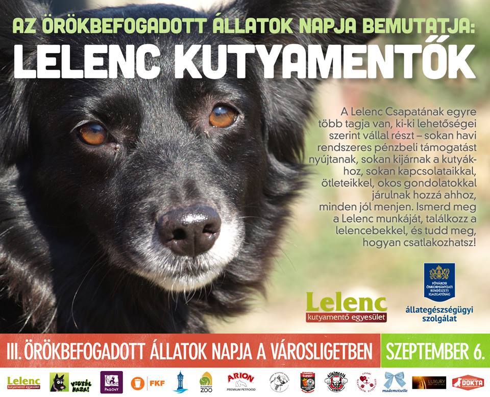  3. Örökbefogadott Állatok Napja