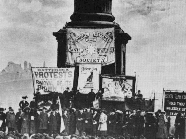 1910. március 19.  Tüntetés a Barna Kutya szobor eltávolítása ellen (Trafalgar tér, London)
