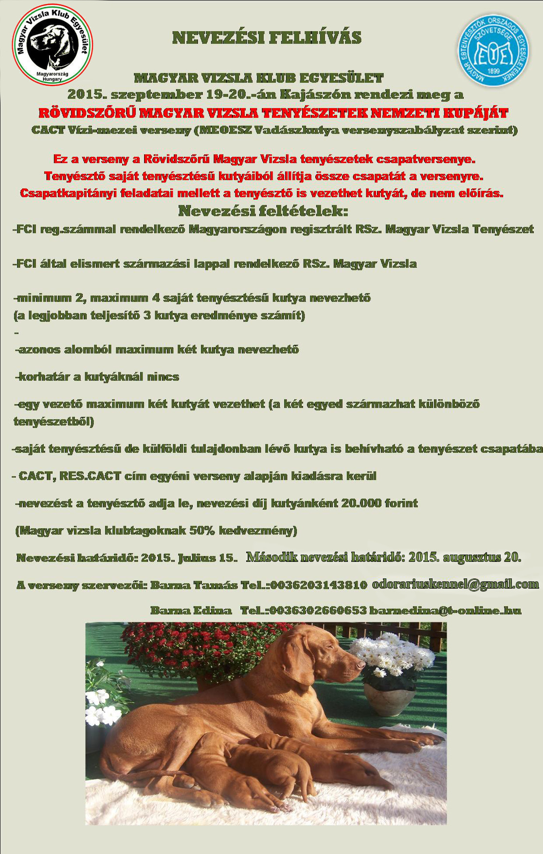 Rövidszőrű Magyar Vizsla Tenyészetek Nemzeti Kupája 2015