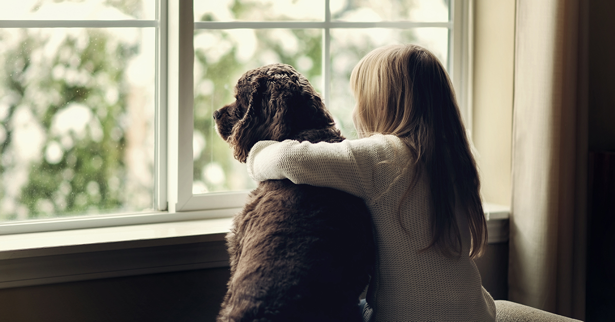 A kullancs megelőzés fontossága