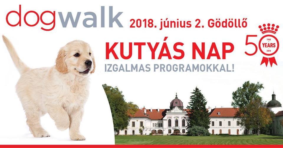 Dogwalk - közös kutyaséta izgalmas programokkal
