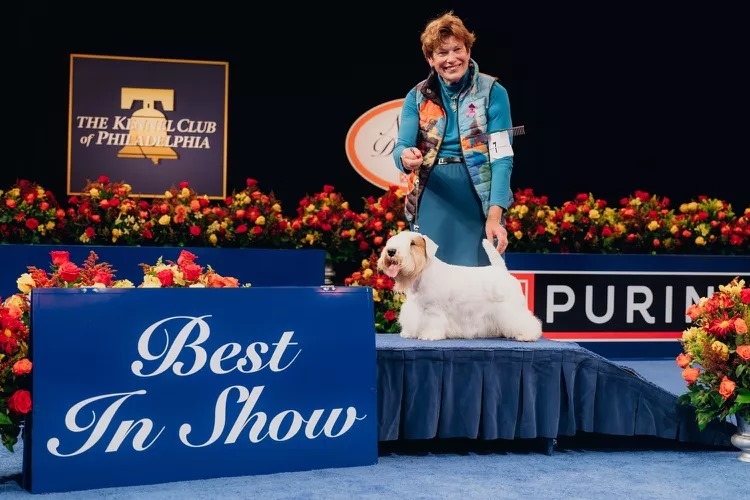 Stache, a Sealyham Terrier a Best In Show győztese és gazdája, Margery Good