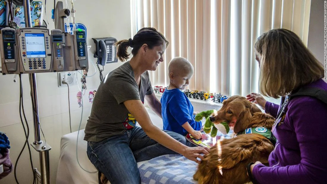 Hunter, a terápiás kutya és gazdája, Amanda Woelk a gyermekklinikán