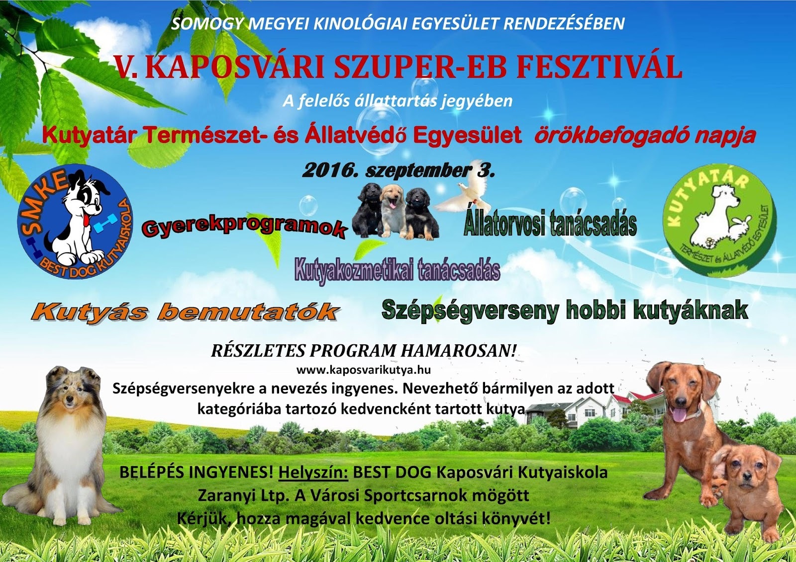 V. Kaposvári Szuper-Eb Fesztivál