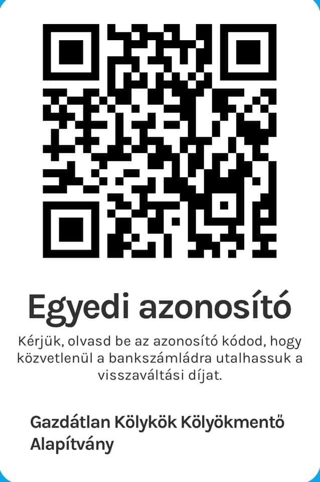 Gazdátlan Kölykök Kölyökmentő Alapítvány.jpg