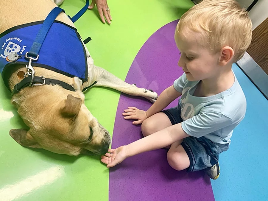 Meghitt pillanat - Chance, a terápiás kutya és az egyik kis páciens a gyerekkórházban