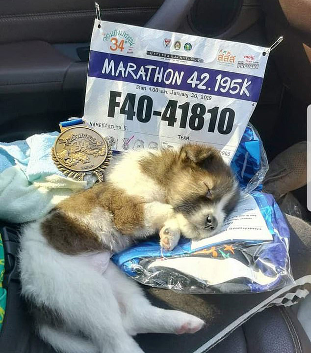 A kis kölyök is elfáradt, bár ő csak végigutazta a maratont
