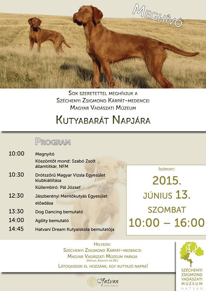 CAC Drótszőrű vizsla klubkiállítás