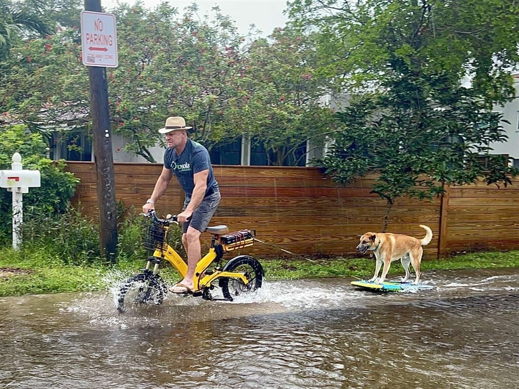 Így szörfözik Bo kutya az esőáztatta floridai utcán