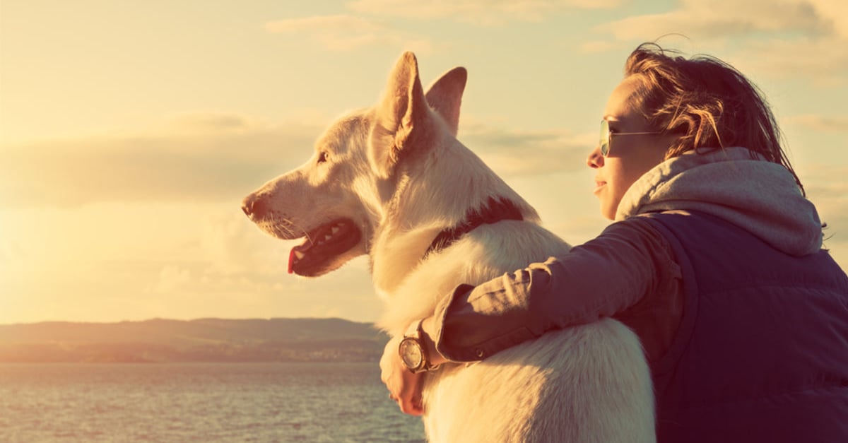 Kutya és ember - a túlzott barátságosságunk hasonló genetikai háttérből ered