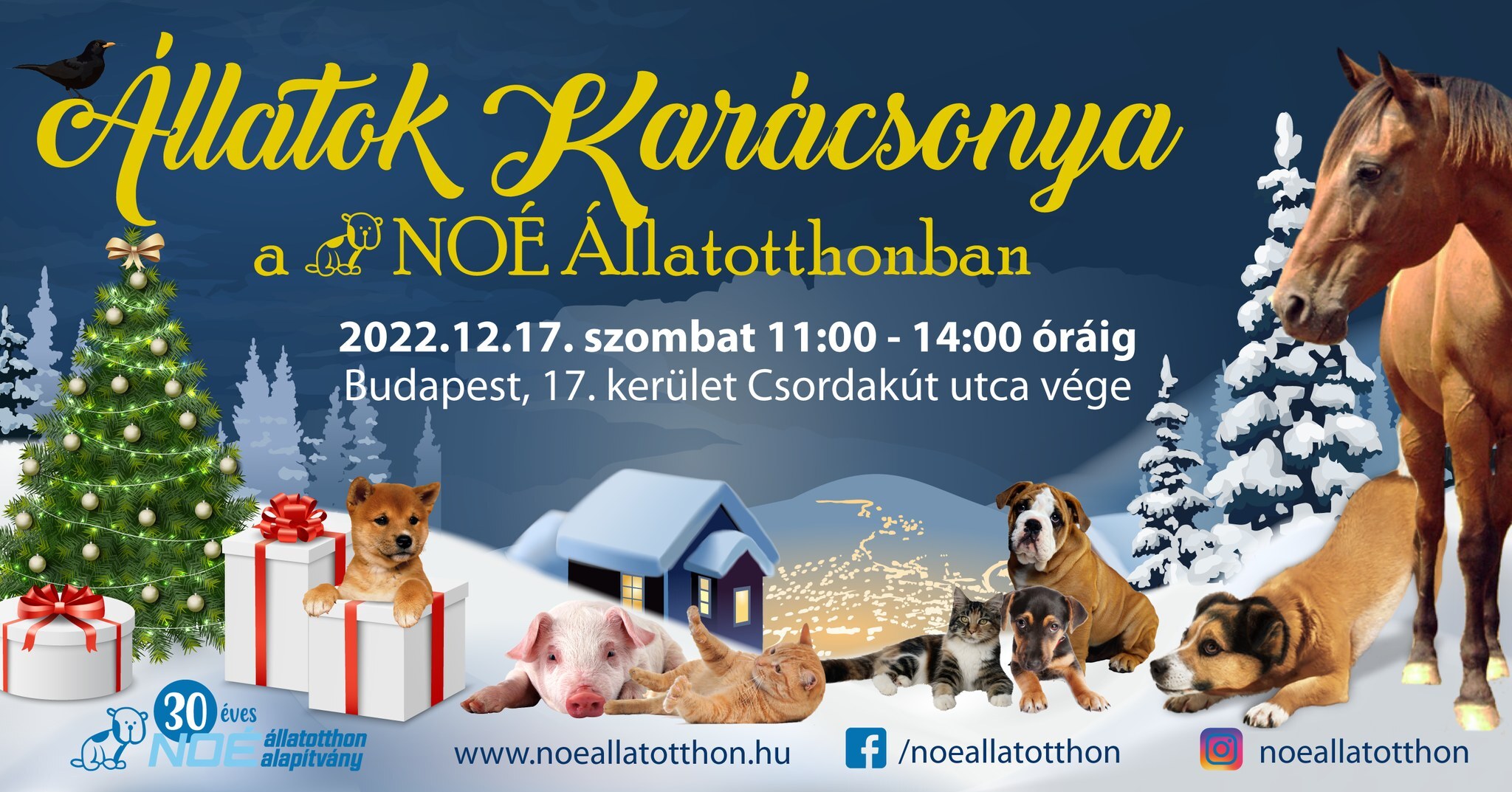 Állatok Karácsonya a NOÉ Állatotthonban 2022